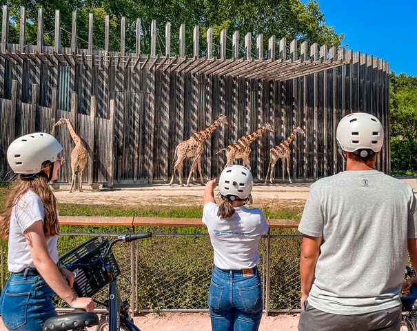 Discover Lyon's iconic Tête d'Or park by bike