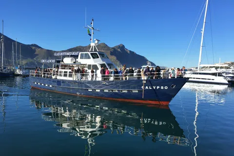 Au départ du Cap : tour en bateau à fond de verre pour l'observation des phoques