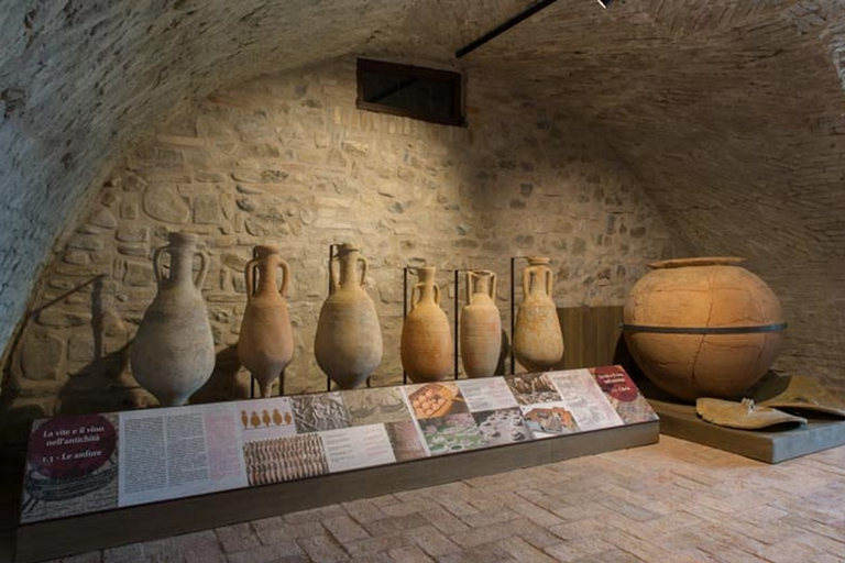 Sala Baganza: Wine Museum Ticket Wine Museum Ticket