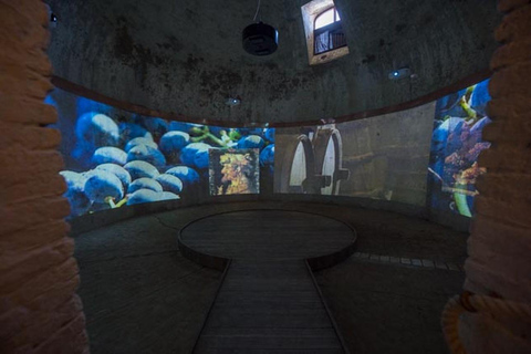 Sala Baganza: Wine Museum Ticket Wine Museum Ticket