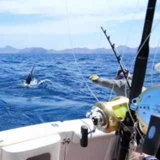 Montego Bay: Private Guided Fishing & Sightseeing Boat Tour