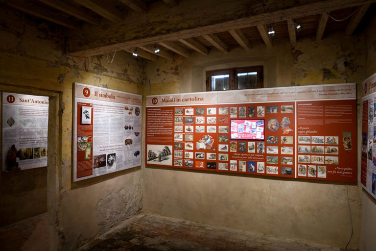 بوليسين بارمينس: تذكرة متحف كولاتيلو دي زيبيلوتذكرة متحف Culatello di Zibello Ham فقط