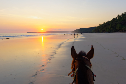 Taghazout: experiência de passeio a cavalo ao pôr do sol na praia