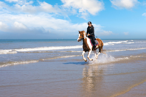 Taghazout: experiência de passeio a cavalo ao pôr do sol na praia