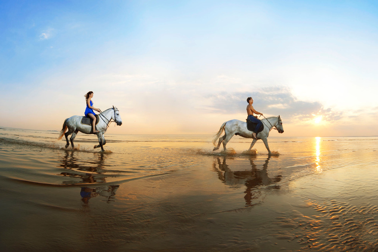 Taghazout: experiência de passeio a cavalo ao pôr do sol na praia