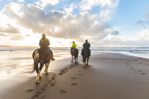 Taghazout: expérience d'équitation au coucher du soleil sur la plage