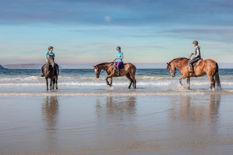 Taghazout: experiencia de montar a caballo al atardecer en la playa