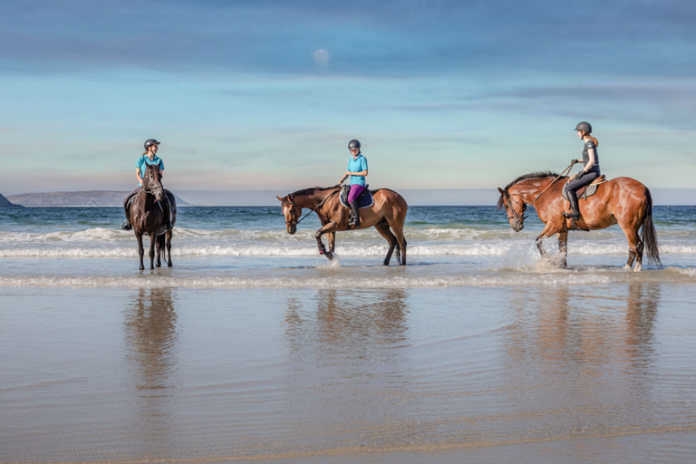 Taghazout: Sunset Horse Riding Experience on the Beach