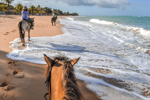 Taghazout: experiência de passeio a cavalo ao pôr do sol na praia