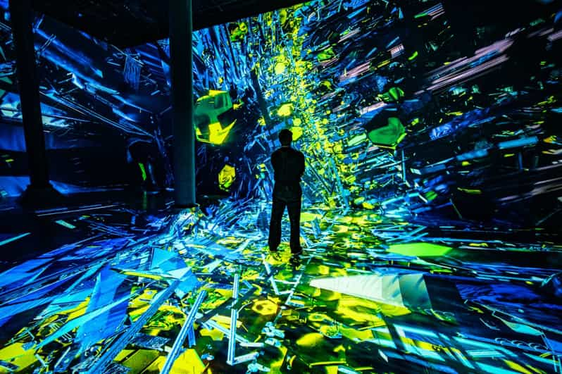 NYC: ARTECHOUSE Immersive Art Experience Entrance Ticket | GetYourGuide