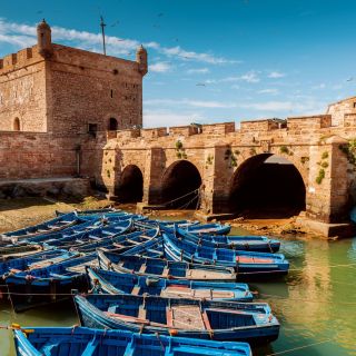 Desde Taghazout: excursión guiada de un día a Medina de Essaouira