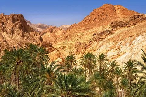 Desde Agadir o Taghazout: Excursión al Atlas Natural del Valle del Paraíso