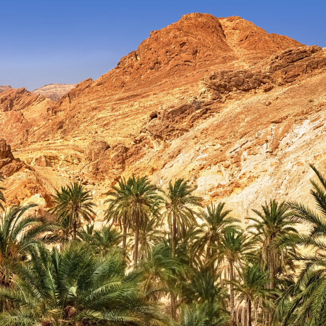 Au départ d'Agadir ou de Taghazout : Circuit de la vallée du Paradis dans l'Atlas naturel