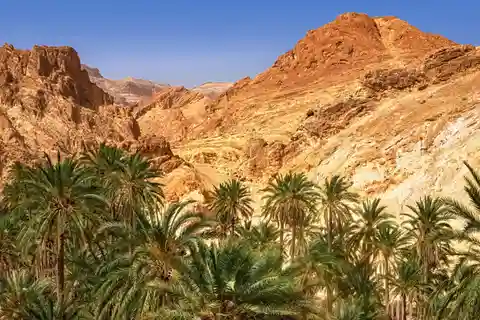 From Agadir or Taghazout: Paradise Valley Natural Atlas Tour