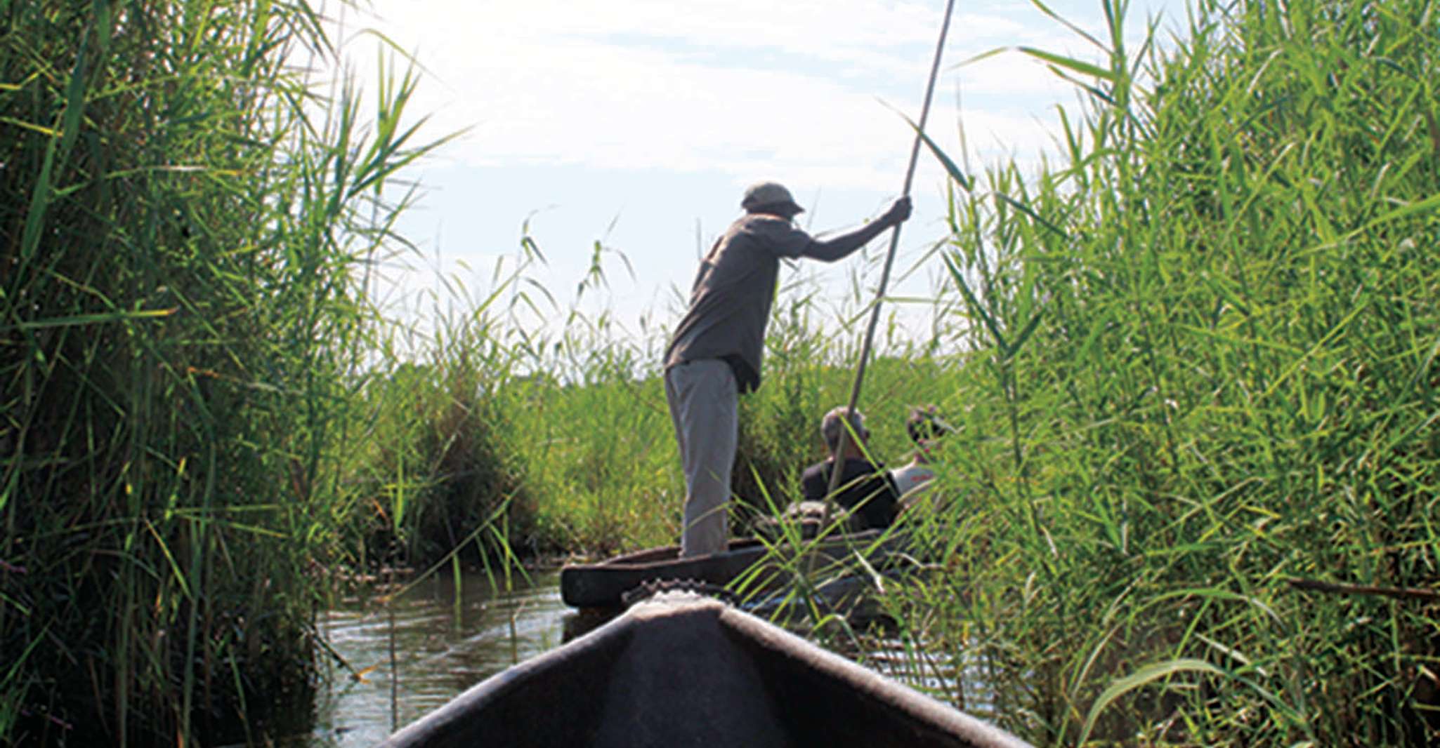 Okavango Delta, Mokoro Day Tour - Housity