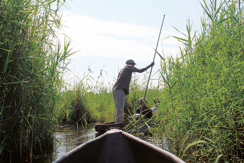 Delta del Okavango: tour de un día a Mokoro
