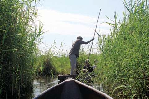 Okavango Delta: Mokoro-dagtour
