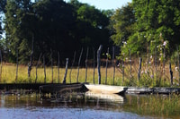 Okavango Delta, Mokoro Day Tour - Housity