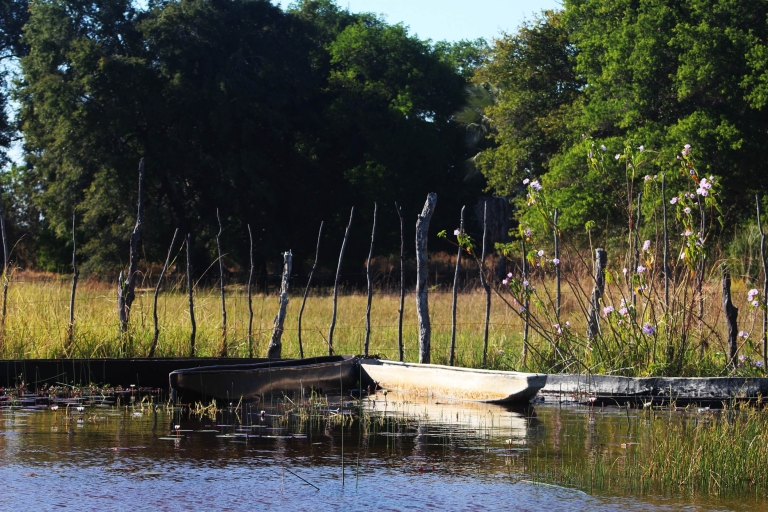 Delta de l'Okavango : excursion d'une journée à Mokoro
