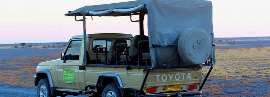 From Maun: 3-Day Moremi Game Reserve Safari Tour