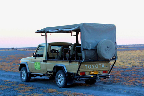 From Maun: 3-Day Moremi Game Reserve Safari Tour