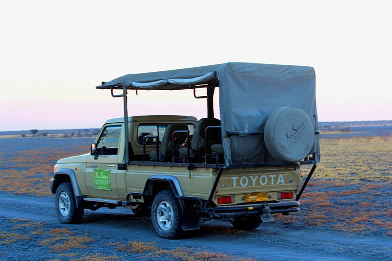 Desde Maun: tour de safari de 3 días por la reserva de animales de Moremi