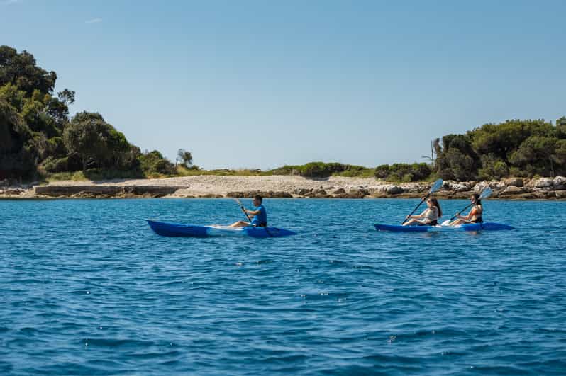 Rovinj Islands 4Hour Guided Kayak Tour with drinks GetYourGuide
