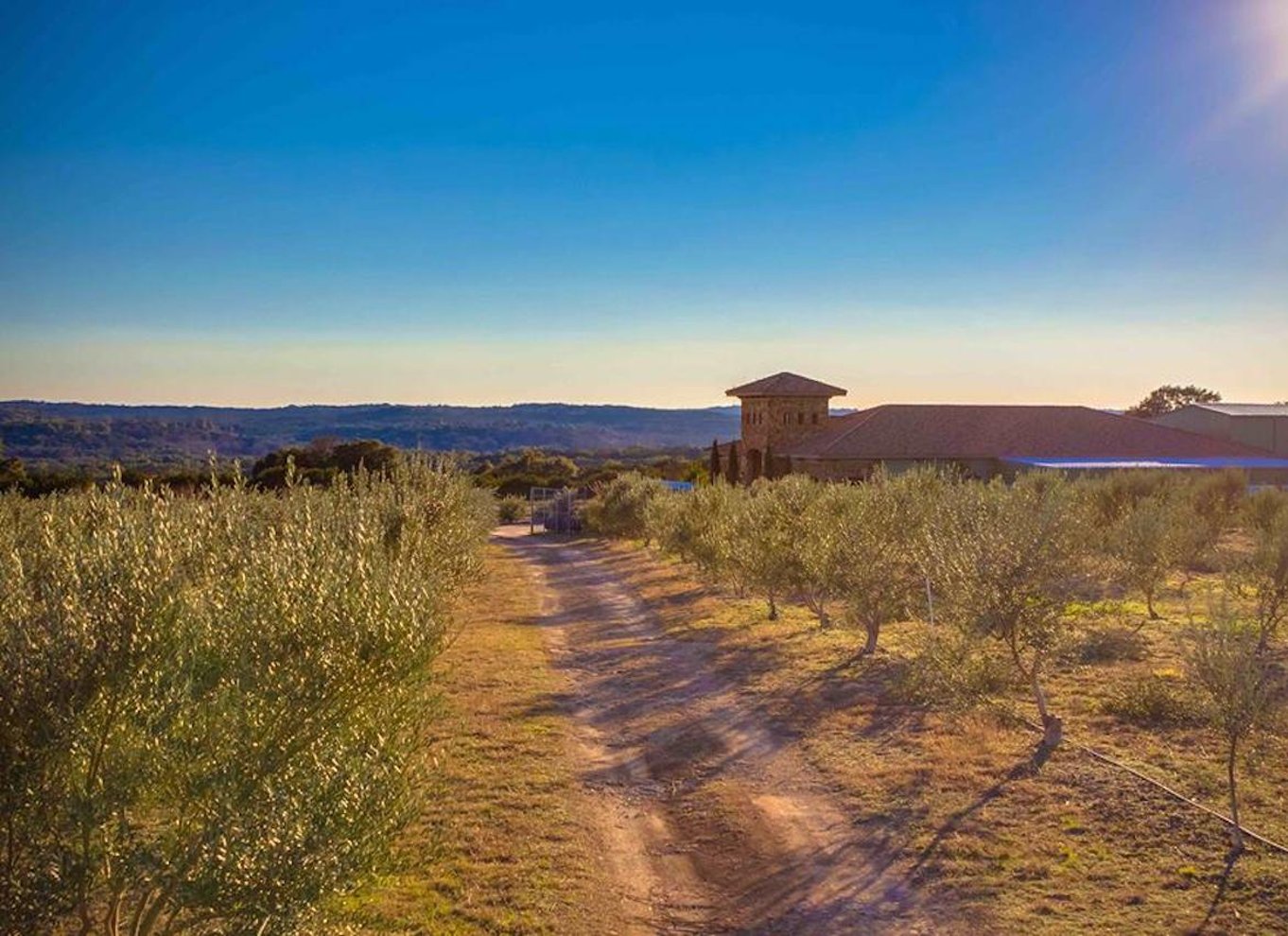 Dripping Springs: Olivenolie og balsamicoeddike smagning