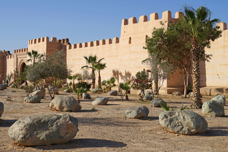 Desde Taghazout: visita guiada a Taroudant y Tiout Oasis