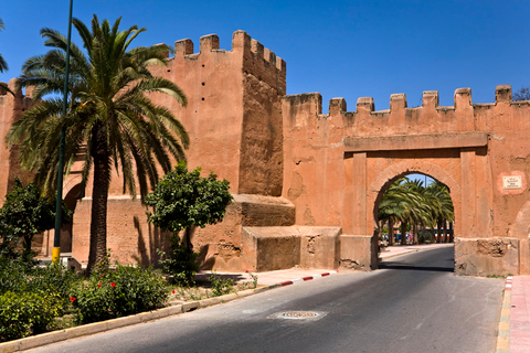 Desde Taghazout: visita guiada a Taroudant y Tiout Oasis