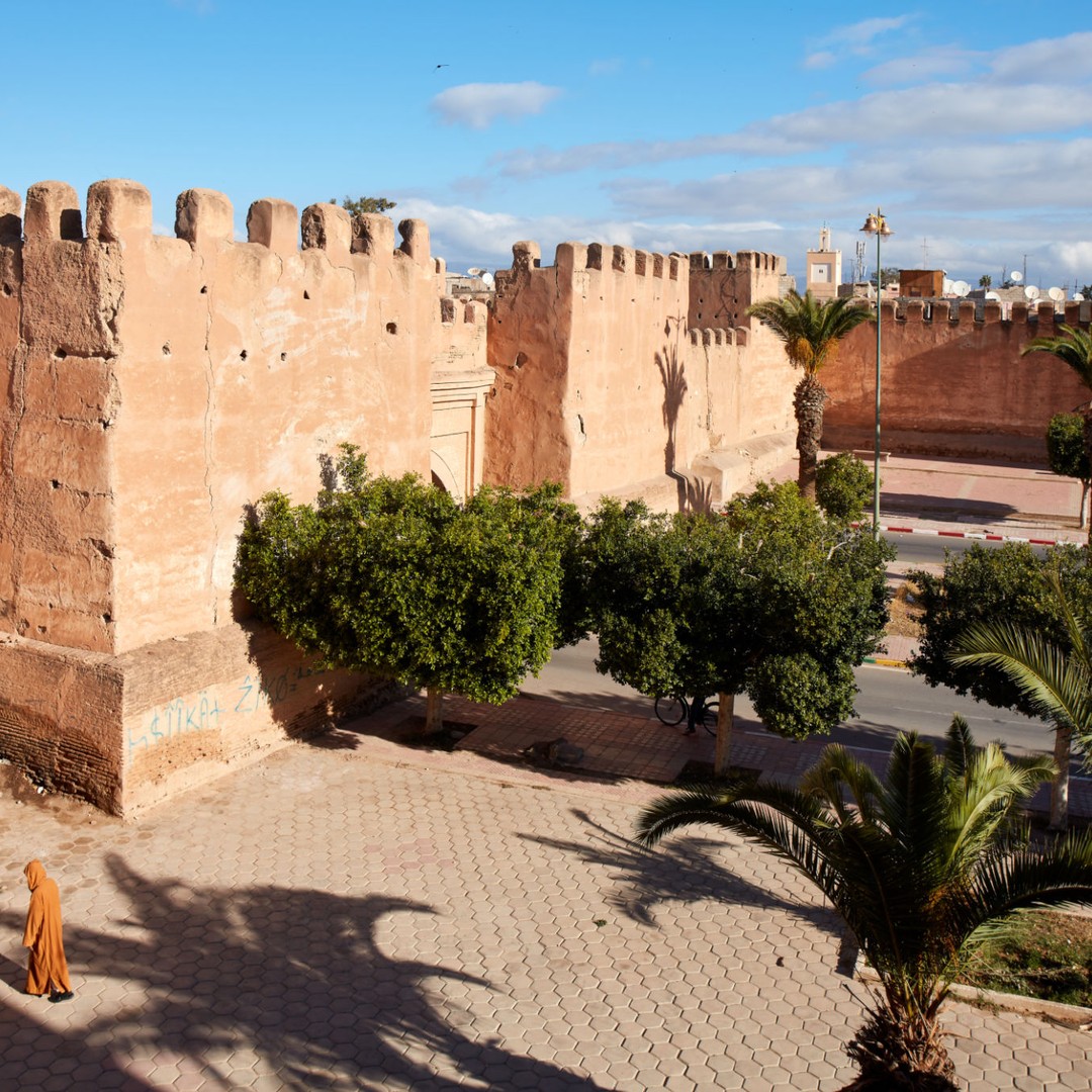 Depuis Taghazout : visite guidée des oasis de Taroudant et de Tiout - excursion
