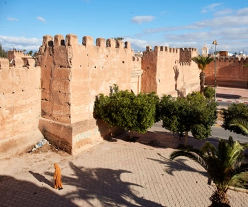 From Taghazout: Taroudant and Tiout Oasis Guided Tour