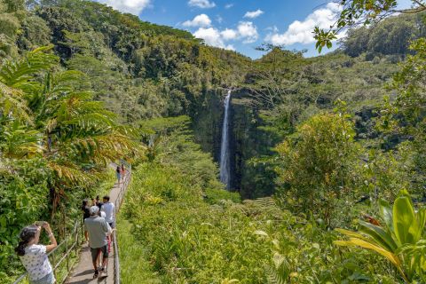 Hawaii: Big Island Highlights Private Tour with Transfer