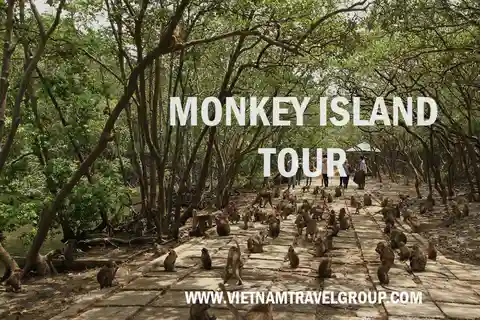 From Ho Chi Minh City: Can Gio Mangrove Guided Forest Tour
