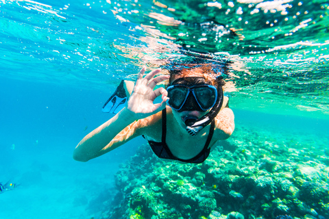 Hurghada: excursion de plongée en apnée sur l'île Giftun avec déjeunerVoyage de plongée en apnée