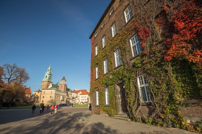 Kraków: wycieczka z przewodnikiem po wzgórzu wawelskim z wejściem do katedry na WaweluWycieczka w języku polskim