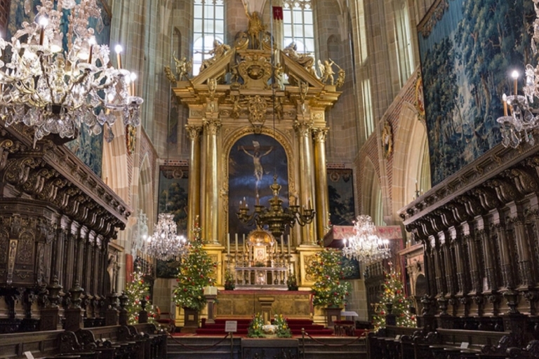 Krakau: Wawel Hill-rondleiding met toegang tot de Wawel-kathedraalRondleiding in het Frans