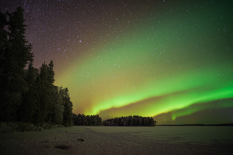 Rovaniemi : Barbecue lapon dans le ciel nocturne