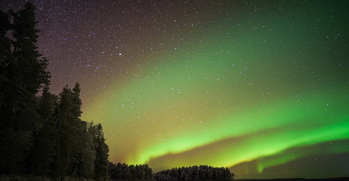 Rovaniemi: Night Sky lappish Barbecue | GetYourGuide