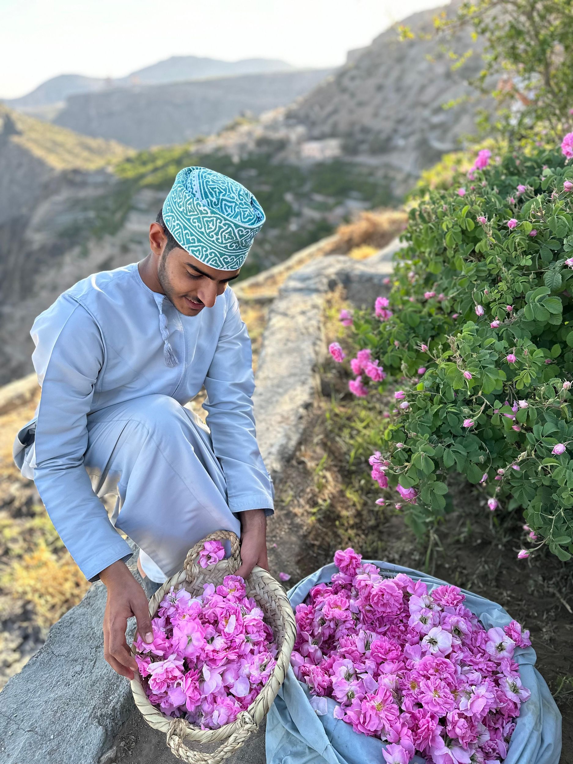 Oman: Rosen-Erlebnis am Dschabal al-Achdar
