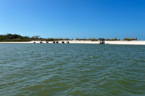 Naples, FL: Manatee, Dolphin, 10,000 Islands Beach Eco Tour Small Group Tour with up to 6 People