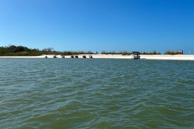 Naples, FL: Manatee, Dolphin, 10,000 Islands Beach Eco Tour Small Group Tour with up to 6 People