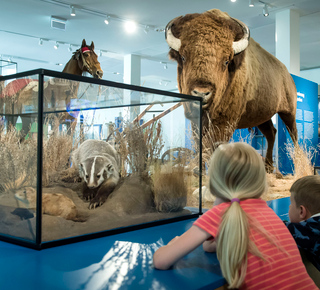 Museos en Bremen: Entradas y visitas guiadas