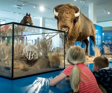 Bremen: Eintrittskarte für das Übersee-Museum