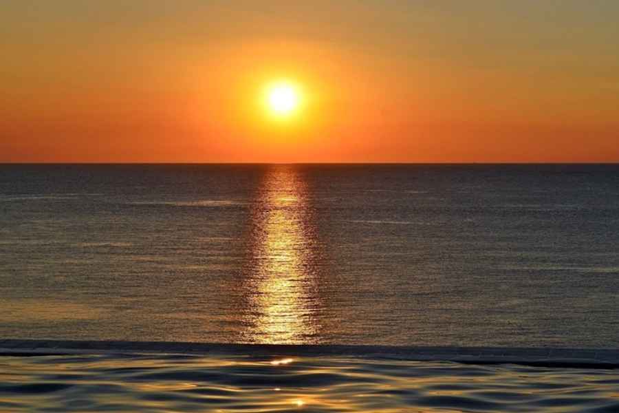 Naples, FL: Seekuh-, Delfin- und 10.000-Inseln-Kreuzfahrt bei Sonnenuntergang. Foto: GetYourGuide