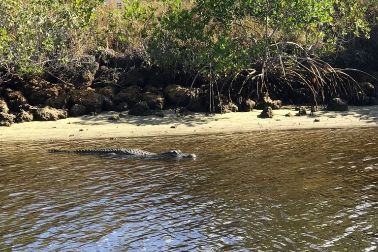 Naples, FL: Manatee, Dolphin, 10,000 Islands Sunset Cruise Sunset Cruise for Large Groups of 7 People or More