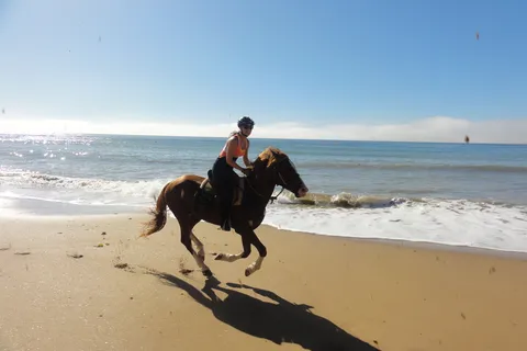 From Essaouira: Horseback Tour with Overnight Berber Camp