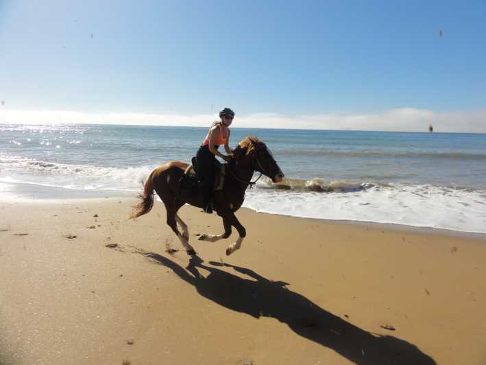 From Essaouira: Horseback Tour with Overnight Berber Camp