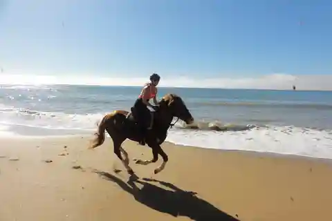 Ab Essaouira: Reittour mit Übernachtung im Berberlager