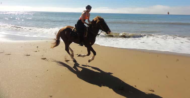 From Essaouira: Horseback Tour with Overnight Berber Camp